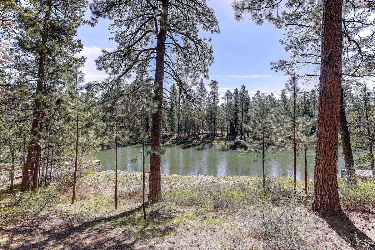 A tranquil view of calm water lined with tall pines, with a distant tree line reflecting on the river's surface. The setting is ideal for bird watching, quiet contemplation, or scenic photography.