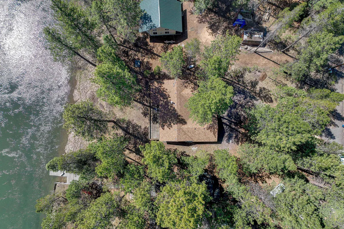 This exterior shot captures the house nestled among tall trees with a serene water body adjacent. The setting is perfect for boating, fishing, hiking, and picnicking, showcasing a seamless blend of home and wild natural spaces.